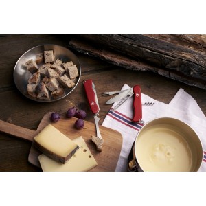 VICTORINOX CHEESE MASTER. Обзор на складной нож для сыра