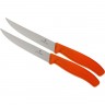 Набор ножей VICTORINOX SWISS CLASSIC , 2шт, оранжевый 6.7936.12L9B