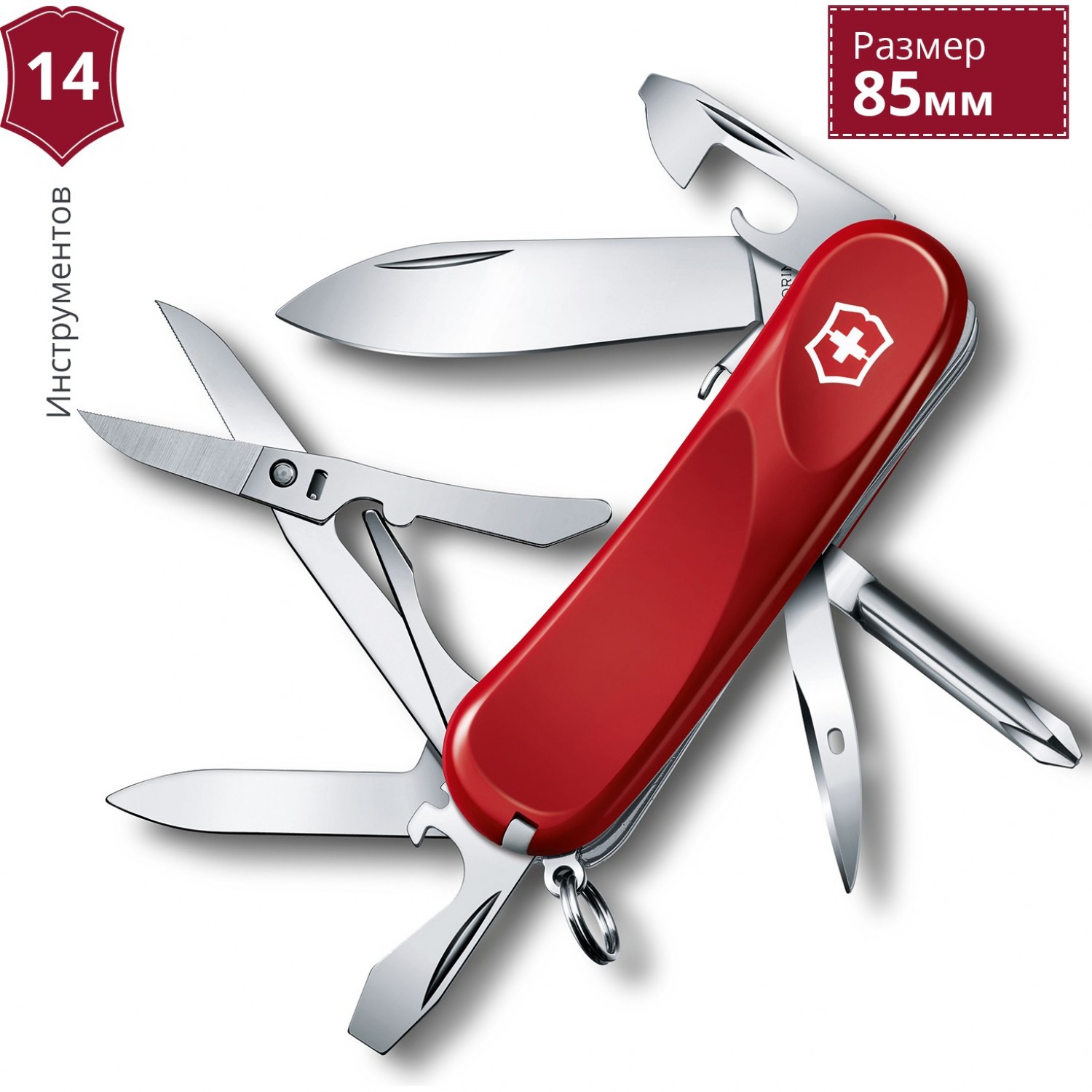 Victorinox best sale evolution s16